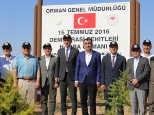 Karaman’da 15 Temmuz Demokrasi Şehitleri Hatıra Ormanı’na 251 Fidan Dikildi