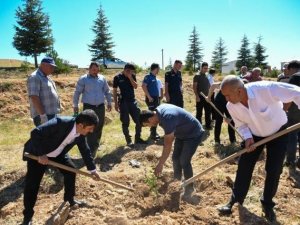Tufanbeyli’de 15 Temmuz’da Fidanlar Toprakla Buluştu