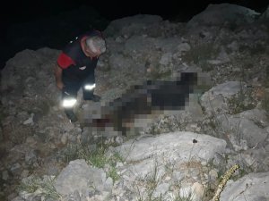 Kayıp Çoban Ölü Bulundu
