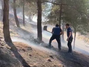 Orman Yangınını Polisler Söndürdü