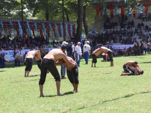 Akbalık Yağlı Güreşleri’nde 600 Pehlivan Mücadele Ediyor