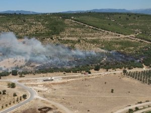 İ̇zmir’de Ziraat Arazisindeki Yangın Kontrol Altında