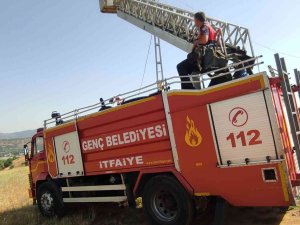 İ̇tfaiye Ekipleri Yuvası Bozulan Leyleğe Yuva Yaptı