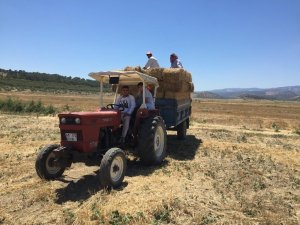 Salihli’de Hayvan Üreticilerine Kaba Yem Desteği
