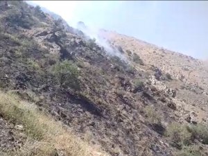 Bahçesaray’daki Örtü Yangını Kontrol Altına Alındı
