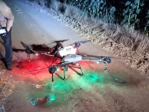 Tekirdağ’da Tırtıl İstilası: Dron İle Operasyon Başlatıldı