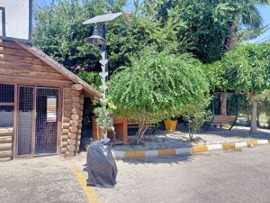 Güneş Enerjisiyle Topraksız Dikey Tarım