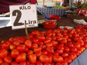 Adana’da Domatesin Kilosu 2 Liraya Düştü