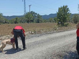 Antalya’da Kayıp Yaşlı Kadını Arama Çalışmaları 6’nci Gününde Sürüyor