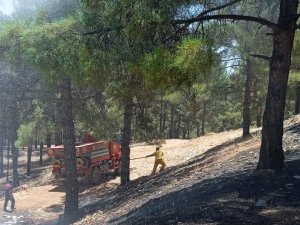 Adıyaman’da Orman Yangını Korkuttu