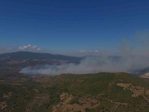 Kepsut’taki Yangını Söndürme Çalışmaları Devam Ediyor