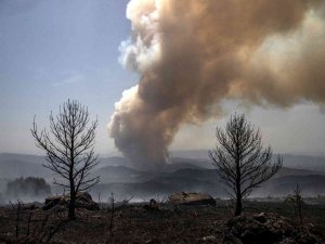 İ̇spanya’daki Orman Yangınında 2 Bin Hektarlık Alan Küle Döndü