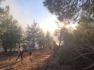 Alevlerin Kontrol Altına Alınması İçin İş Makineleri Konuşlandırıldı