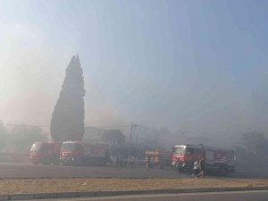 İ̇zmir’de Çıkan Yangın Kontrol Altına Alındı