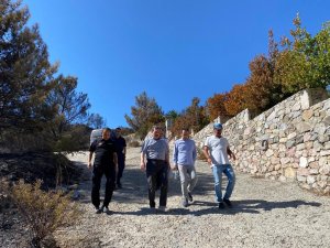 Vali Tavlı, Datça Yangın Bölgesinde İncelemede Bulundu