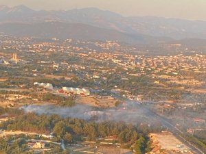 İ̇zmir’de Ağaçlık Alanda Yangın