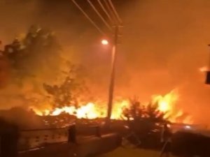 Tatil Beldesi Gümüldür’de Evlere Yakın Noktada Çıkan Yangın Kontrol Altında