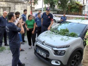 Üsküdar’da Asırlık Ağaç Otomobilin Üzerine Devrildi
