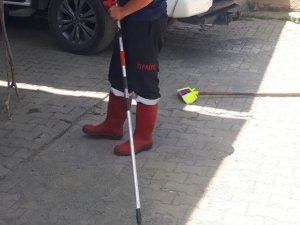 Iğdır’da İş Yerine Giren Engerek Yılanı Korkuttu