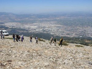 Spil Dağı Milli Parkı’nın Endemik Tür Bitki Ve Çiçekleri Fotoğraflandı