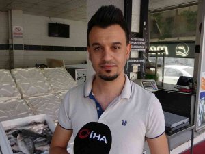 Nesli Tükenme Tehlikesinde Olan Fırat Kaplumbağası Balıkçı Oltasına Takıldı