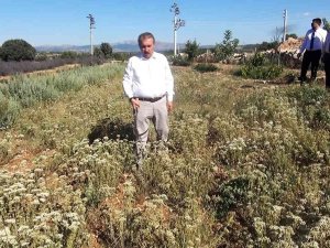 Destici: “Muhalefetin Elinde Koz Bırakmayacağız”