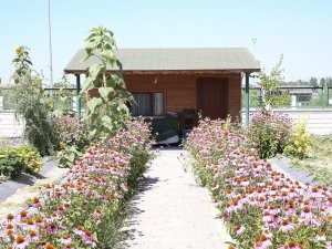 Büyükşehir’in ’Doğal Ürünler Bahçesi Pazarı’ Açılıyor