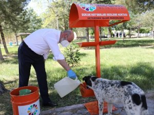 Kocasinan’da Küçük Dostlar İçin Büyük Hassasiyet