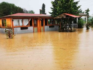 Ordu’da Dereler Taştı, Kümes Hayvanları Telef Oldu