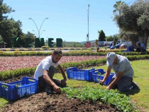 Kemer Peyzaj Çalışmalarıyla Renklenecek