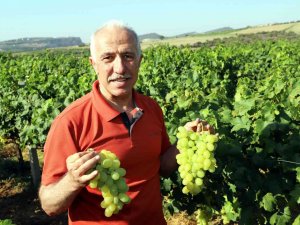 Mersin’de Üzüm Şenliği Düzenleniyor