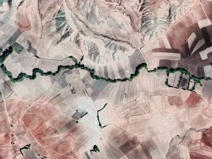 Menderes Görünümlü Orman Dikkat Çekiyor