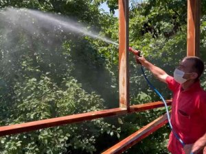 Ordu’da Meyve Dökülmelerine Önlem
