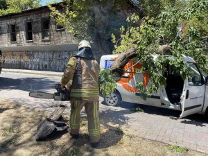 Kadıköy’de Seyir Halindeki Aracın Üzerine Ağaç Devrildi