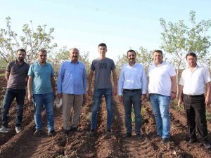 Okumak İçin Geldiği Siirt’te Üretici Olmayı Hedefliyor