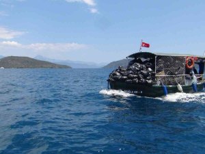 Büyükşehir Günlük 34 Bin Kilogram Atık Topladı