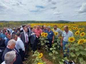 Bakan Yardımcısı Pakdil’den Tırtıl İstilası Konusunda Rahatlatan Açıklama: “Ürkütücü Bir Tablo Yok”