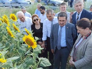 Tarım Ve Orman Bakan Yardımcısı Pakdil: "Rekolte Açısından Bir Kaybımız Olmaz"