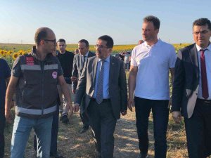 Tarım Ve Orman Bakan Yardımcısı Pakdil: “Edirne Ve Kırklareli’nde Çayır Tırtılı Sorununu Hemen Hemen Bitti Diyebiliriz”