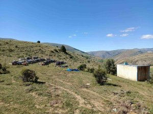 Kovan Hırsızları Kıskıvrak Yakalandı