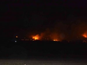 Didim’de Makilik Yangını Korkuttu
