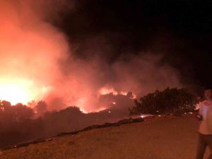 Çeşme’de Yangın