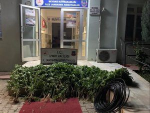 İ̇zmir’de Uyuşturucu Operasyonları: 23 Şüpheli Yakalandı