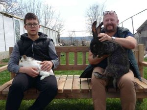 Yetiştirdiği Dev Velikan Tavşanlarla Herkesi Şaşırtıyor