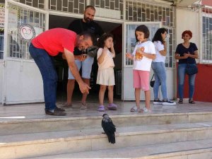 Okul Bahçesinde Sıcaktan Bayılan Karga, Kendine Gelince Öğrenci Kayıt Sırasına Girdi