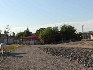 Başıboş Atlar Yine Sahnede