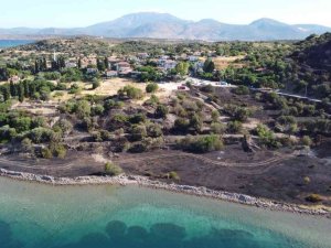 Çeşme’de Yanan Alan Havadan Görüntülendi