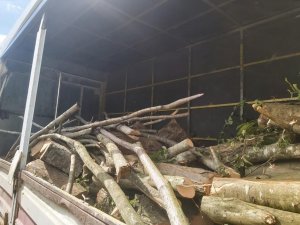 Durdurulan Kamyondan 3 Ton Kaçak Orman Ürünü Çıktı