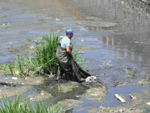 Kars Çayı Temizleniyor