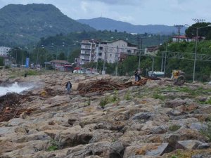 Sel Sonrası Kıyıya Vuran Odunlar, Vatandaşlar Tarafından Toplanıyor